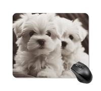 Tappetino per mouse quadrato con simpatico cucciolo di maltese, tappetino per mouse portatile con base in gomma antiscivolo, 25 x 30 cm, ultra sottile, per computer, laptop, ufficio, accessori da
