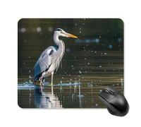 Tappetino per mouse quadrato con stampa di airone grigio in acqua, tappetino per mouse portatile con base in gomma antiscivolo, 25 x 30 cm, ultra sottile, per computer, laptop, accessori da scrivania