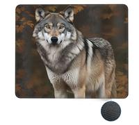 Tappetino per mouse quadrato Wild Wild Gray Wolf Base in gomma antiscivolo 10 x 12 pollici per mouse wireless Accessori per scrivania da ufficio