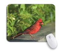 Tappetino per Mouse Red Bird Cardinal Perched On Railing Fields Nature Tappetino per Il Mouse Antiscivolo Confortevole Portatile Tappetino Mouse Gaming, per Casa, Gioco, 25 x 30cm