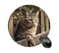 Tappetino per mouse rotondo con gatto su recinto di legno, tappetino per mouse impermeabile in gomma antiscivolo, tappetino per mouse divertente, 19,8 x 19,8 cm, per computer, laptop, accessori da