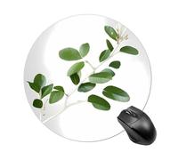 Tappetino per mouse rotondo, con ramoscello verde naturale, liscio, tappetino per mouse da gioco, ad alta densità, portatile, comodo, per scrivania, casa, ufficio, 20 x 20 cm
