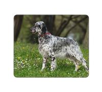 Tappetino per mouse, Setter inglese Prato Animali domestici Cani Setter inglese, Tappetino per mouse con base in gomma antiscivolo, Tappetino per mouse impermeabile Ufficio 12 × 10 pollici