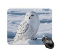 Tappetino per Mouse Snowy Owl On The Ice Tappetini Mouse Confortevole Facile da Pulire Mousepad Forma Rettangolare, per Gaming, Ufficio, Computer, 25x30cm