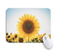 Tappetino per Mouse Sunflowers Designers Field Macro View of in Bloom Organic Tappetino Mouse Pad Facile da Pulire Tappetino Mouse Gaming, per Computer, Laptop, 25 x 30cm