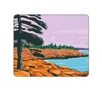Tappetino per Mouse U.S. National Parks Antiscivolo Mouse Pad Durevole Desk Mat per Sensori da Gioco Computer Ufficio 10X12In