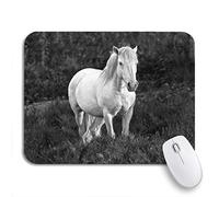 Tappetino per Mouse White Camargue Horse Standing in The Swamps Nature Reserve Tappetino Mouse Gaming Portatile Facile da Pulire Sottomano, per Gaming Mouse, Computer, 25 x 30cm
