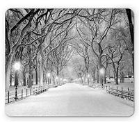 Tappetino per Mouse Winter View of Central Park in Winter Snowy Trees And The Walkway Digital Art Print Tappetino Mouse Gaming Lavabile Mousepad Forma Rettangolare, per Ufficio, Casa, 25x30cm