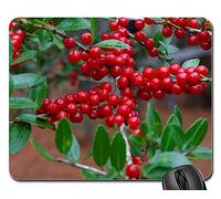 Tappetino per Mouse, Yaupon Yaupon Holly Ilex Vomitoria Tree Berry Tappetino da Gaming Antipolvere Tappetini per Il Mouse da Gioco Bordi Cuciti Tampone per Mouse per Gaming Computer 25X30Cm