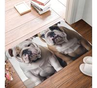 Tappetino per porta d'ingresso, con due simpatici bulldog, per interni ed esterni, antiscivolo, assorbente, lavabile, in flanella, tappetino antiscivolo per cucina, camera da letto, bagno, portico