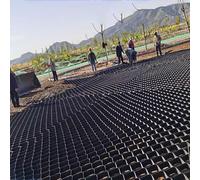 Tappetino per stabilizzazione del terreno dei piselli, 10, alto 4 m x 3,9 m, per il supporto del ping cellulare, per il rinforzo del paesaggio e del suolo
