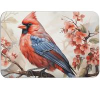 Tappetino Porte Watercolor Red Bird Sitting On The Branch Zerbino Antiscivolo Resistente Asciugapassi Per Ingresso La Casa 40X60Cm
