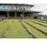 Tappetino riscaldante a pavimento 0EMF 400W 3,3' x 9' o 20"x 14' (1 x 2,7 o...