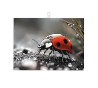 Tappetino scolapiatti a forma di coccinella, in microfibra, assorbente, riutilizzabile, lavabile, extra large, 45,7 x 61 cm, colore: rosso
