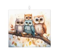 Tappetino scolapiatti assorbente con gufo su ramo per bancone della cucina, tappetino per acquerello, tappetino da caffè, scolapiatti con anello per appenderlo, 40,6 x 45,7 cm