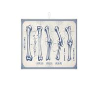 Tappetino scolapiatti con anatomia dell'osso blu vintage, tappetino assorbente classico con illustrazione medica, tappetino scolapiatti scientifico in microfibra per bancone della cucina, 40,6 x 45,7