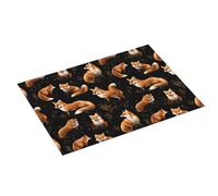 Tappetino scolapiatti grande con stampa di volpe per bancone della cucina, 45,7 x 61 cm, in microfibra assorbente, tappetino antiscivolo per scolapiatti con anello per appendere