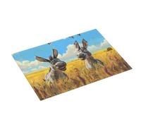 Tappetino scolapiatti grande per bancone della cucina, 45,7 x 61 cm, assorbente, divertente tappetino per scolapiatti in campagna per cucina, tappetino in microfibra con anello per appendere
