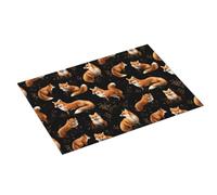 Tappetino scolapiatti grande per bancone della cucina, 45,7 x 61 cm, stampa di volpe, assorbente, in microfibra, tappetino per cucina, tappetino antiscivolo con anello per appendere