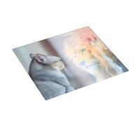 Tappetino scolapiatti per bancone della cucina, 40,6 x 45,7 cm, il gatto guarda allo specchio, tappetino assorbente per scolapiatti con anello per appendere