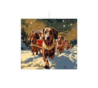 Tappetino scolapiatti per bancone della cucina, con stampa di un cane carino, assorbente, tappetino scolapiatti invernale in microfibra per proteggere la cucina, 40,6 x 45,7 cm