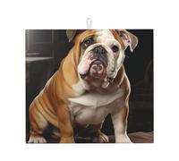 Tappetino scolapiatti per bancone della cucina, grande, super assorbente, tappetino scolapiatti in microfibra con bulldog inglese, tappetino antiscivolo da cucina per lavelli e caffettiera, 46 x 41 cm