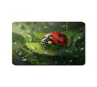 Tappetino scolapiatti per bancone della cucina, motivo coccinella rosso vivace, in gomma assorbente, tappetino scolapiatti a tema primaverile, protezione per bancone della cucina, 30,5 x 50,8 cm