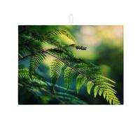 Tappetino scolapiatti per bancone della cucina, motivo felce verde, assorbente ispirato alla natura, tappetino scolapiatti in microfibra ecologica per proteggere il bancone della cucina, 45,7 x 61 cm