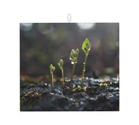 Tappetino scolapiatti per cucina HHGFASD Young Sprouts in The Rainy Season Pattern Ultra assorbente, reversibile ed elegante tappetino da cucina