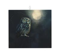 Tappetino scolapiatti per cucina Wzywhj Gufo al chiaro di luna in spugna assorbente acqua 45,7 x 40,6 cm