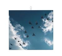 Tappetino scolapiatti per cucina YTUOPWE Birds of Prey in the Blue Sky Picture Ultra assorbente, reversibile ed elegante tappetino da cucina
