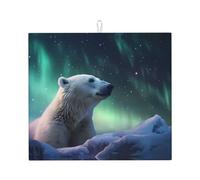Tappetino scolapiatti per cucina YTUOPWE Polar Bear in the Snow Picture Ultra assorbente, reversibile ed elegante tappetino da cucina