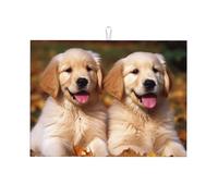 Tappetino scolapiatti super assorbente in microfibra riutilizzabile lavabile scolapiatti tappetino Golden Retriever cani cuccioli animali domestici scolapiatti per piano di lavoro cucina bar 45,7 x 61