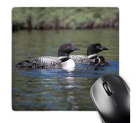 Tappetino Scrivania Famiglia di Tre Strolaghe Confortevole Desk Mat Grande Mouse Mat per Computer Portatile Gaming Laptop 25X30Cm