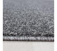 Tappeto abitazione Monocromo Uni Facile da pulire Lavabile Resistente Rotondo Grigio 160x160 cm Soggiorno OEKO-TEX Testato per sostanze nocive Orlato Gang Sala da pranzo Camera da letto Certificato