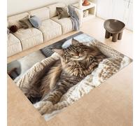 Tappeto Camera da Letto 100x150 cm Stampa Gatto Carino Maine Coon 3D Imitazione Cashmere Tappeto Antiscivolo Tappeti Cucina Adatto Per Soggiorno Sala da Tè Spazi Esterni di Tenute dii Campagna