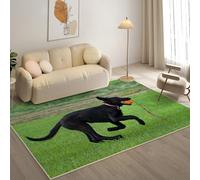 Tappeto Camera da Letto 80x120cm , Soggiorno Moderno Pelo Corto Tappeti Soffici , Pastore TedescoTappeto Antiscivolo, tappetos cucina Lavabili per Cameretta Bambino Ufficio， Animali Domestici