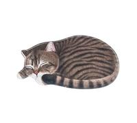 Tappeto con Disegno di Gatto Che Riposa, Accessorio Accogliente per La, stile c