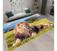 Tappeto Con Illusione Ottica 3D Per Soggiorno, Animale Stampato,Tappetino Per Decorazioni Per La Casa,Tappetino Antiscivolo,Zerbino Lavabile 100 X 200 Cm - Pulizia Facile /1481310012084