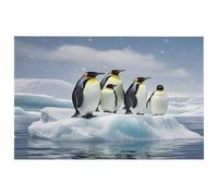 Tappeto con pinguini sull'iceberg, lavabile, con retro in gomma antiscivolo, per cucina, morbido, resistente alle macchie, piccolo tappeto per camera da letto, bagno, decorazione per pavimento
