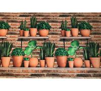 Tappeto Cucina Gommato Stuoia Corsia Passatoia Antiscivolo Piante Grasse