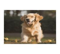 Tappeto da bagno con stampa di cane Golden Retriever, tappeto super morbido e confortevole, tappetino da doccia in microfibra, super assorbente
