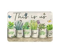 Tappeto Da Cucina Classico Zerbino Entrata Succulent This Is Us A Little Bit Of Crazy Indistruttibile Tappetini Da Bagno Per Cortile Terrazzo Bagno 40X60Cm