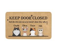 Tappeto Da Cucina Resistente Sporco Zerbino Da Esterno Don'T Let The Cats Out Resistente Tappetini Da Bagno Per Cucina Bagno Cortile 40X60Cm