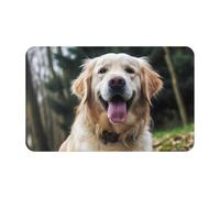 Tappeto Da Esterno Indistruttibile Zerbino Entrata Funny Golden Retriever Multiuso Tappetino Porta Per Bagno Ingresso Interno 40X60Cm