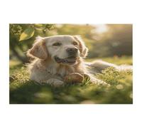 Tappeto da ingresso con cane seduto sull'erba, antiscivolo, morbido, con retro in gomma, super assorbente, per ingresso, camera da letto, ufficio, cucina, decorazione per la casa