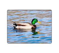 Tappeto decorativo per soggiorno, motivo: anatra reale che nuota in un fiume, morbido, lavabile, per camera da letto, 150 x 122 cm, per interni, camera da letto e soggiorno