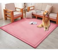 Tappeto di Grandi Dimensioni in Velluto Corallo di 3 Cm, Tappetino da Gioco Morbido Antiscivolo, Tappetino per Strisciare Spesso per Sala Studio Soggiorno Camera da Letto, Pink, 90 * 120 * 3cm