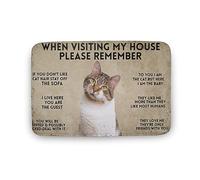 Tappeto D'Ingresso Interno Cat When Visiting My House Please Remember Cat Lavabile In Lavatrice Tappetino Per Porta Resistente Zerbino D'Ingresso Per Interni Per Ufficio Casa Zona