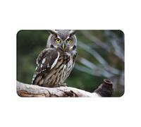 Tappeto Doccia Morbido Zerbino Esterno Wild Owl Birds Antiscivolo Tappetini Per Interno Camera Terrazzo 40X60Cm